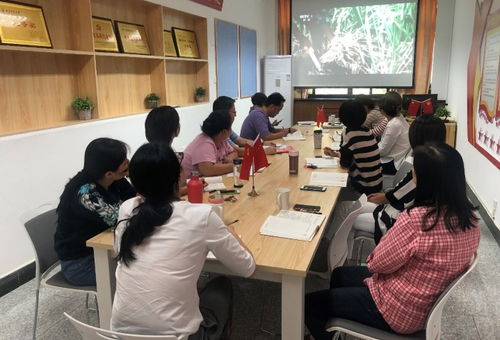 信息技術(shù)咨詢(xún)服務(wù)助力黨建學(xué)習(xí)——圖書(shū)館信息技術(shù)部黨支部慶祝新中國(guó)成立70周年主題黨日活動(dòng)紀(jì)實(shí)